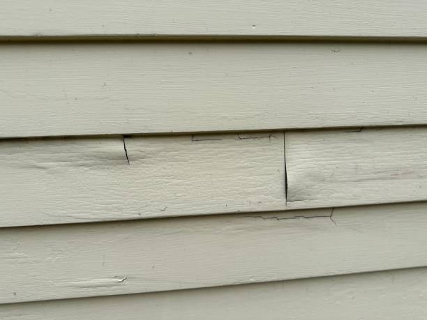 Professional Siding Services in Buttonwillow, CA